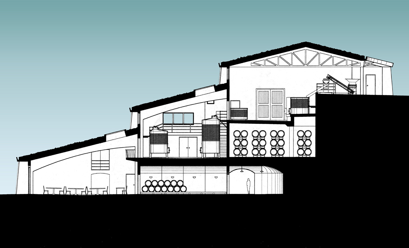 Гравитационное виноделие