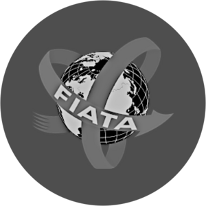 website icon