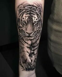 Уход за татуировкой тигра