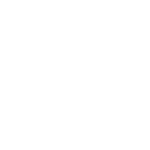 website icon