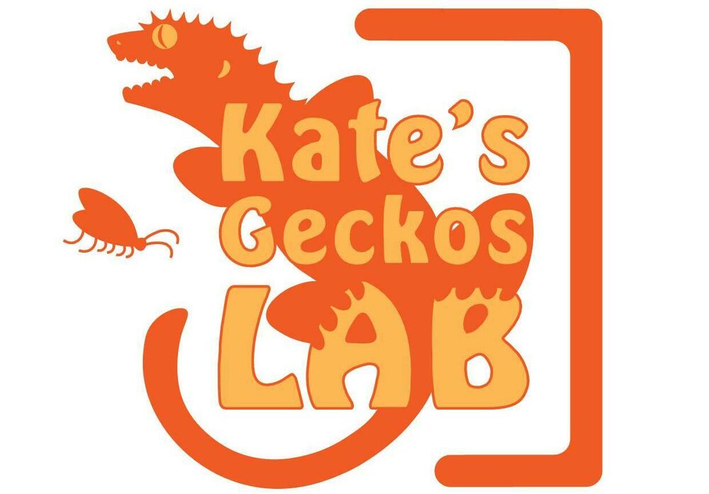 Kates geckos lab