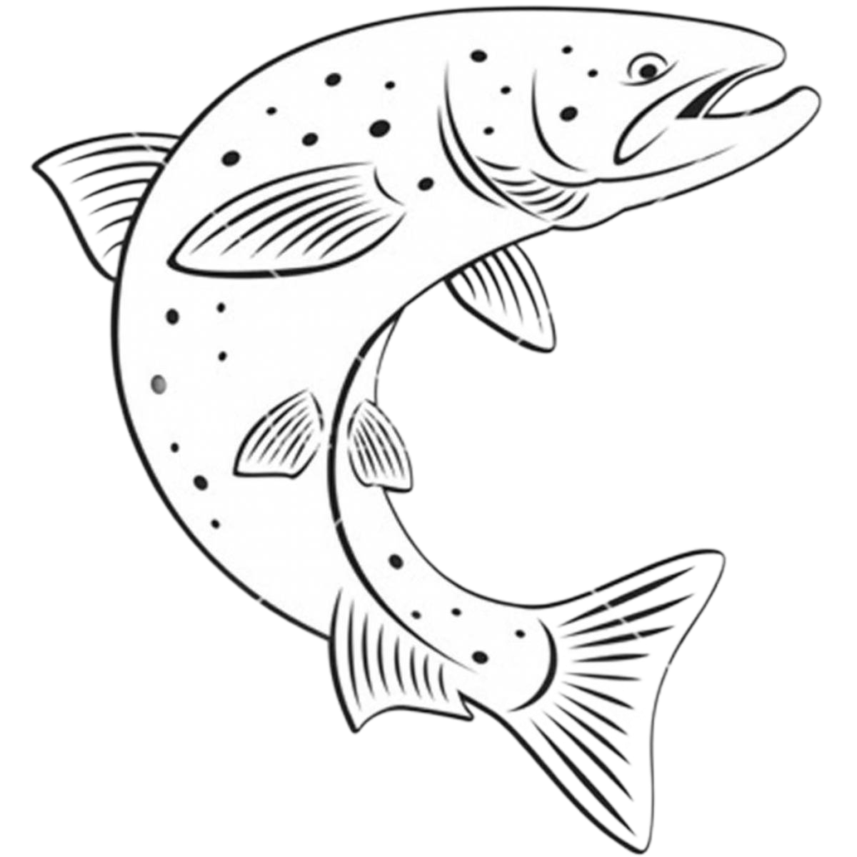 корм для собак с ягненком