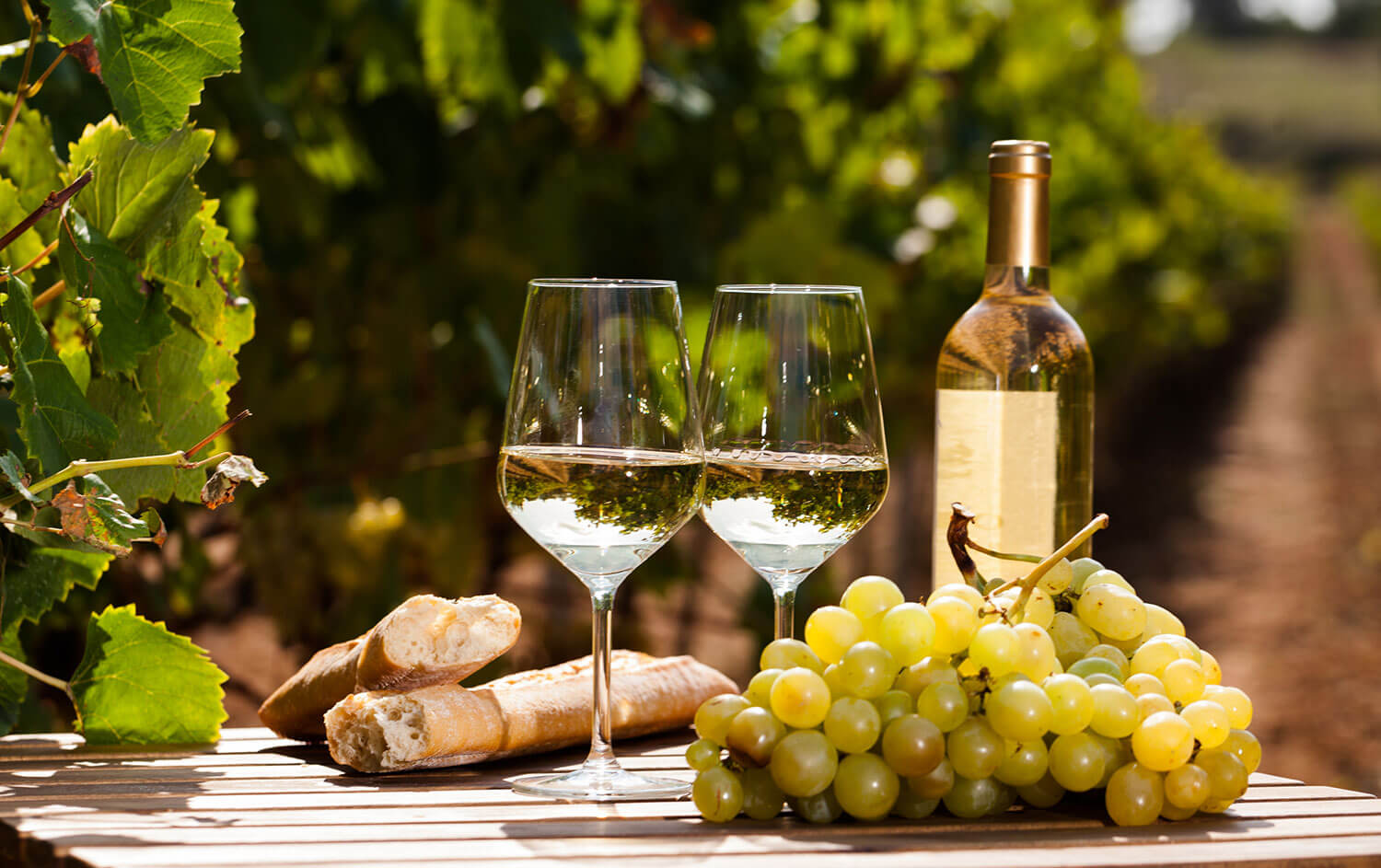 Table Vineyard