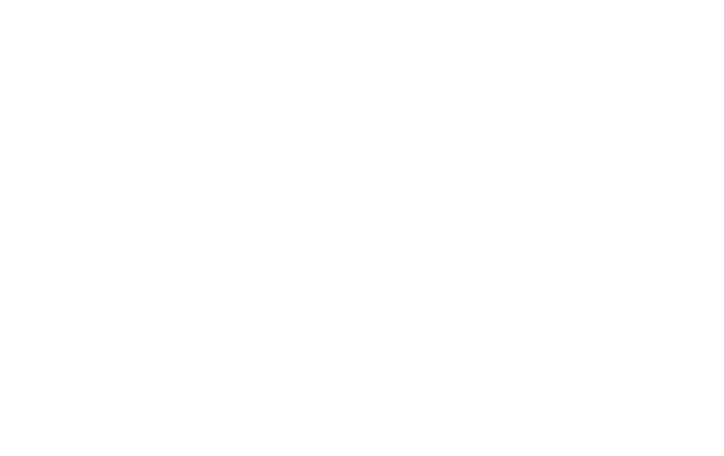 ПОЛЯНА ROUGE 540