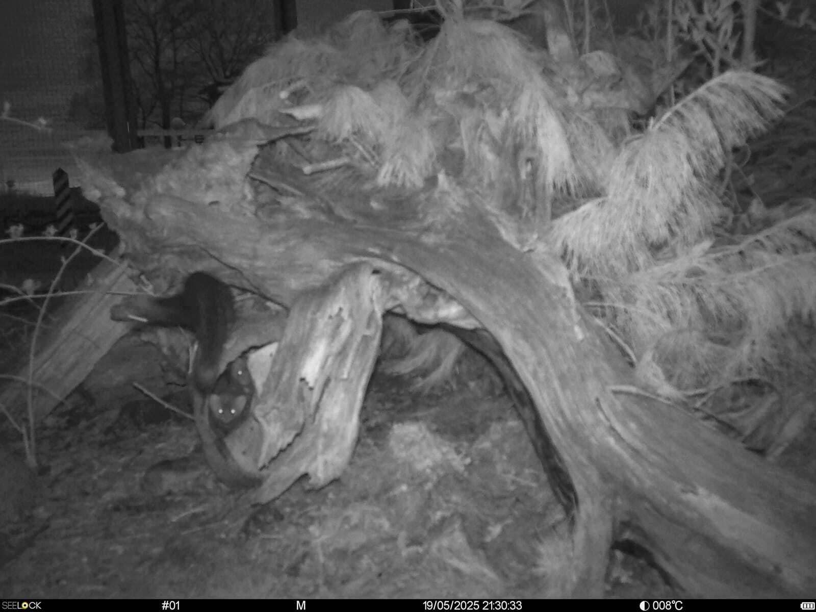 Байкальский заповедник