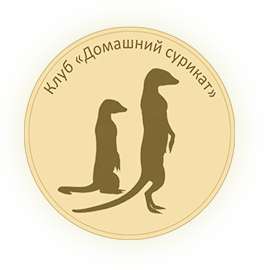 Клуб "Домашний сурикат"