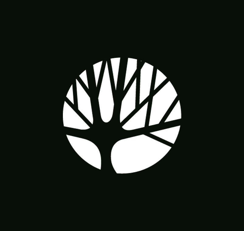 Дирекция городских парков новосибирск. Дирекция городских парков новосибирск. Евгения вторушина. Новосибирск зеленые фото. Евгения вторушина.