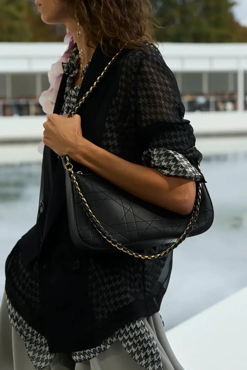 Сумки Dior Spring 2027