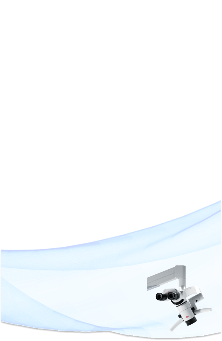 текст песни попурри. зуби зуби слова. памятка здоровых зубов. зуби зуби слова. красивая здоровая улыбка.