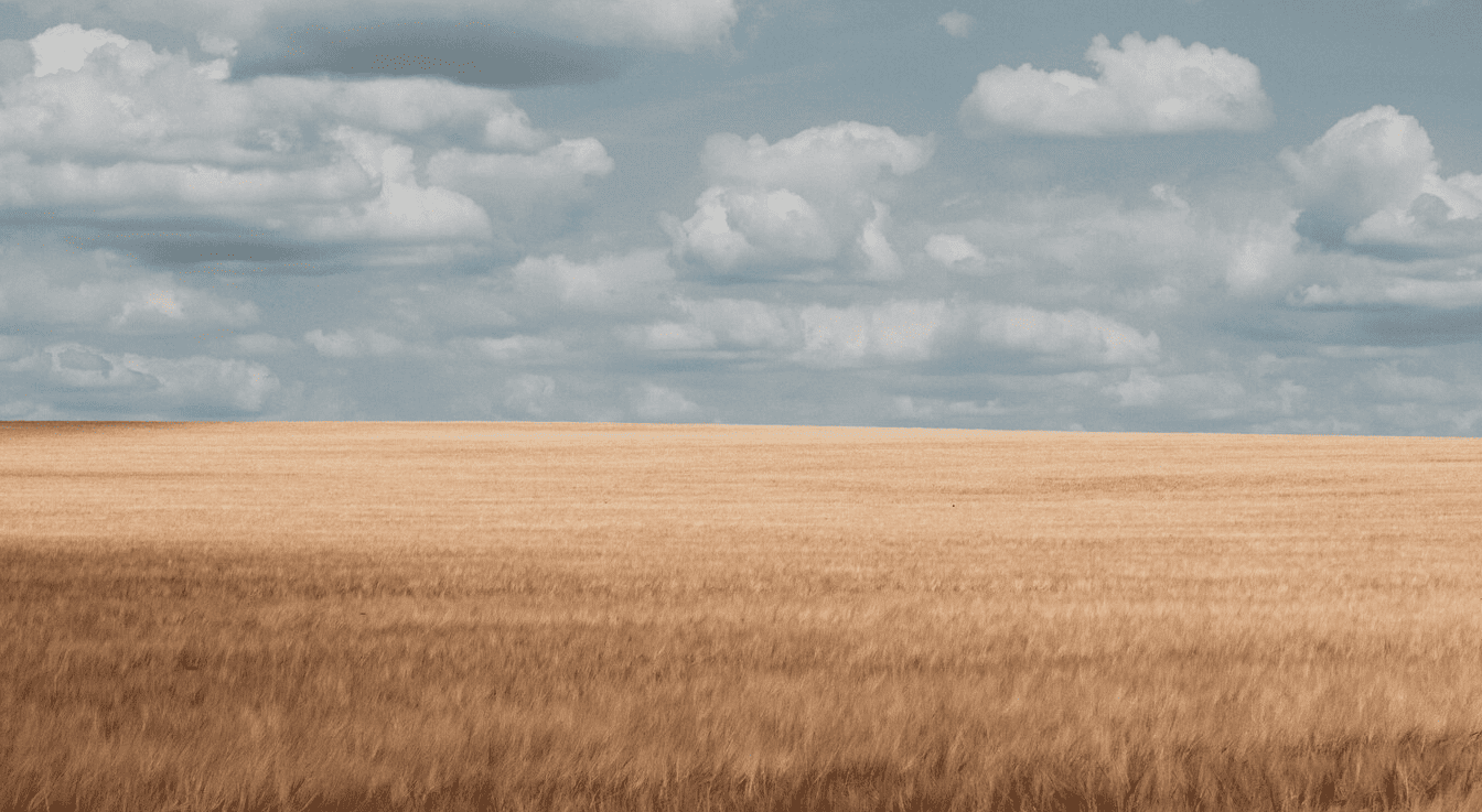 kuntsev-agro.ru