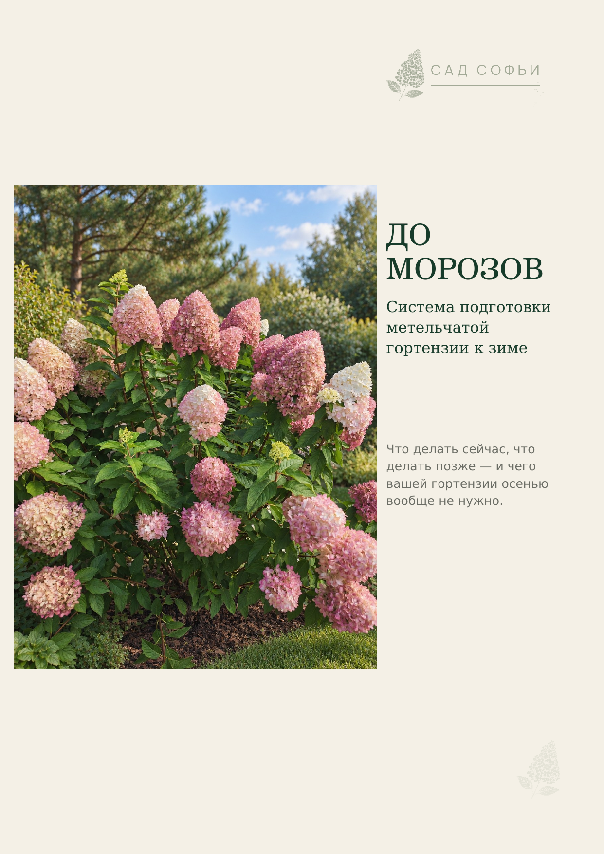 Обложка материала «До морозов»