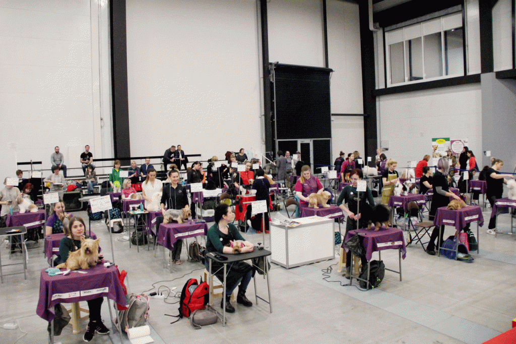 центр детского отдыха; центр развития детский сад; центр развития ребенка детский сад