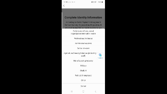Заполнение анкеты для верификации Alipay