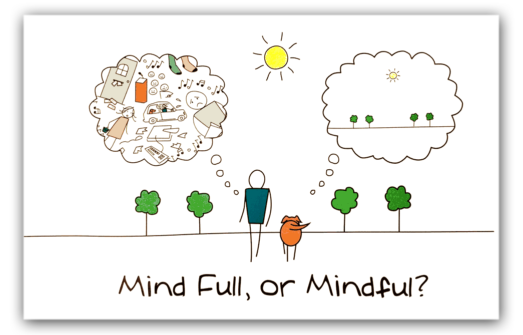What is in your mind. What is in your mind