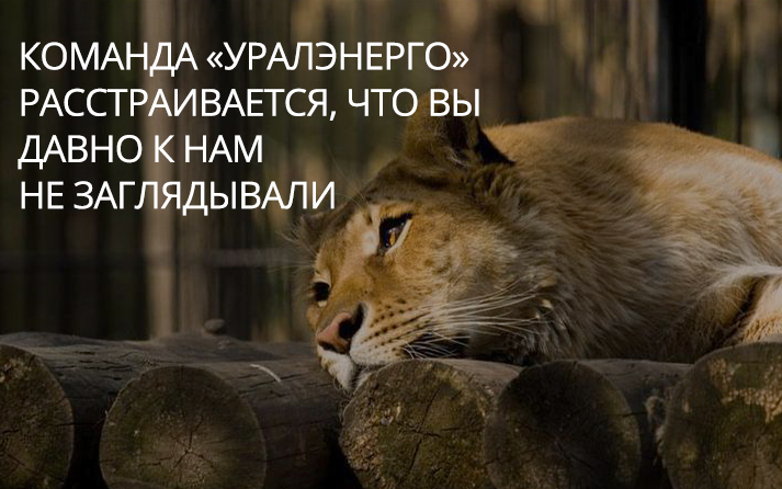 Команда АВС.экспресс расстраивается, что Вы давно к нам не заглядывали