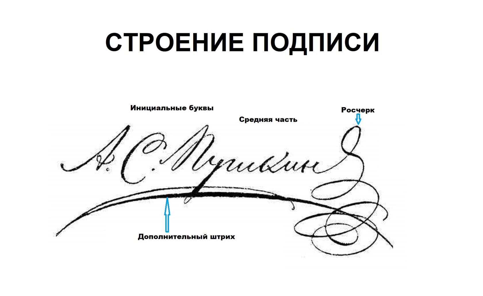 Сколько нужно образцов подписи для почерковедческой экспертизы