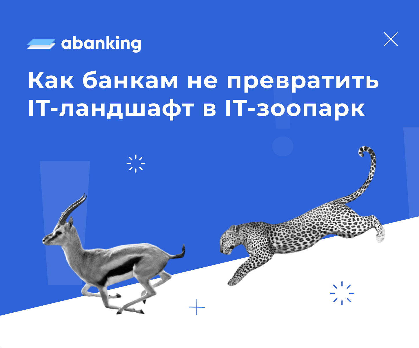 Подружить <b>антилоп</b> с гепардами&quot;: как банкам не превратить IT-ландшафт в...