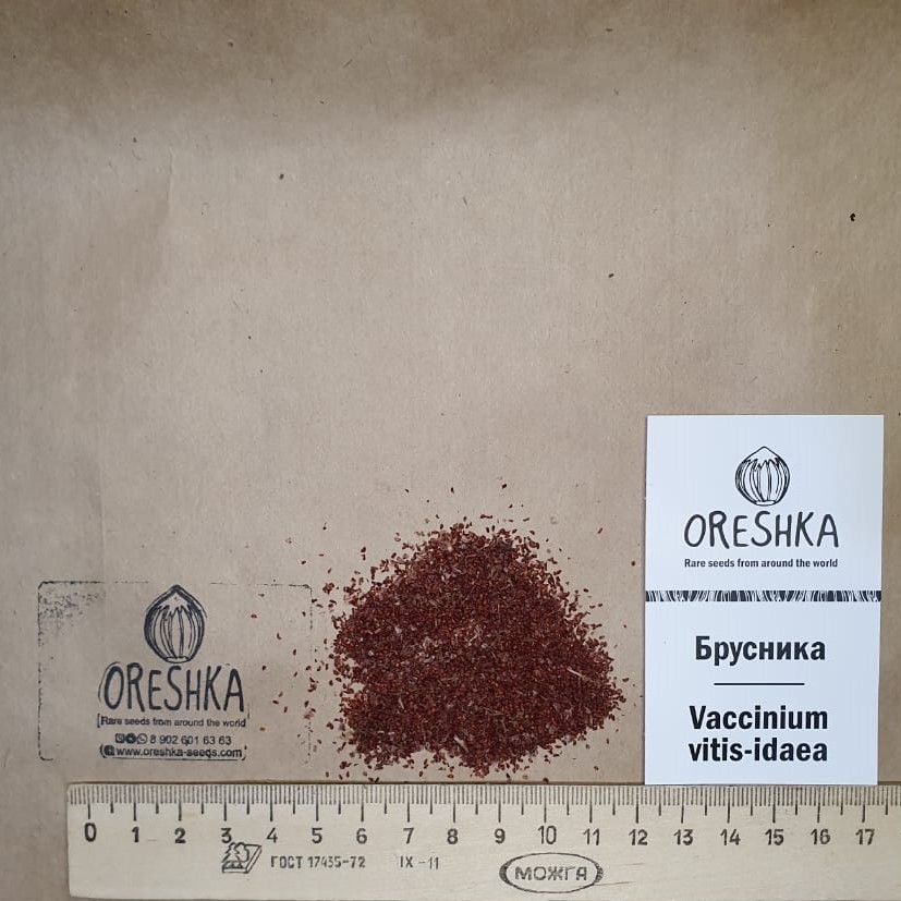 Oreshka Seeds Vaccinium vitis-idaea fresh seeds packet