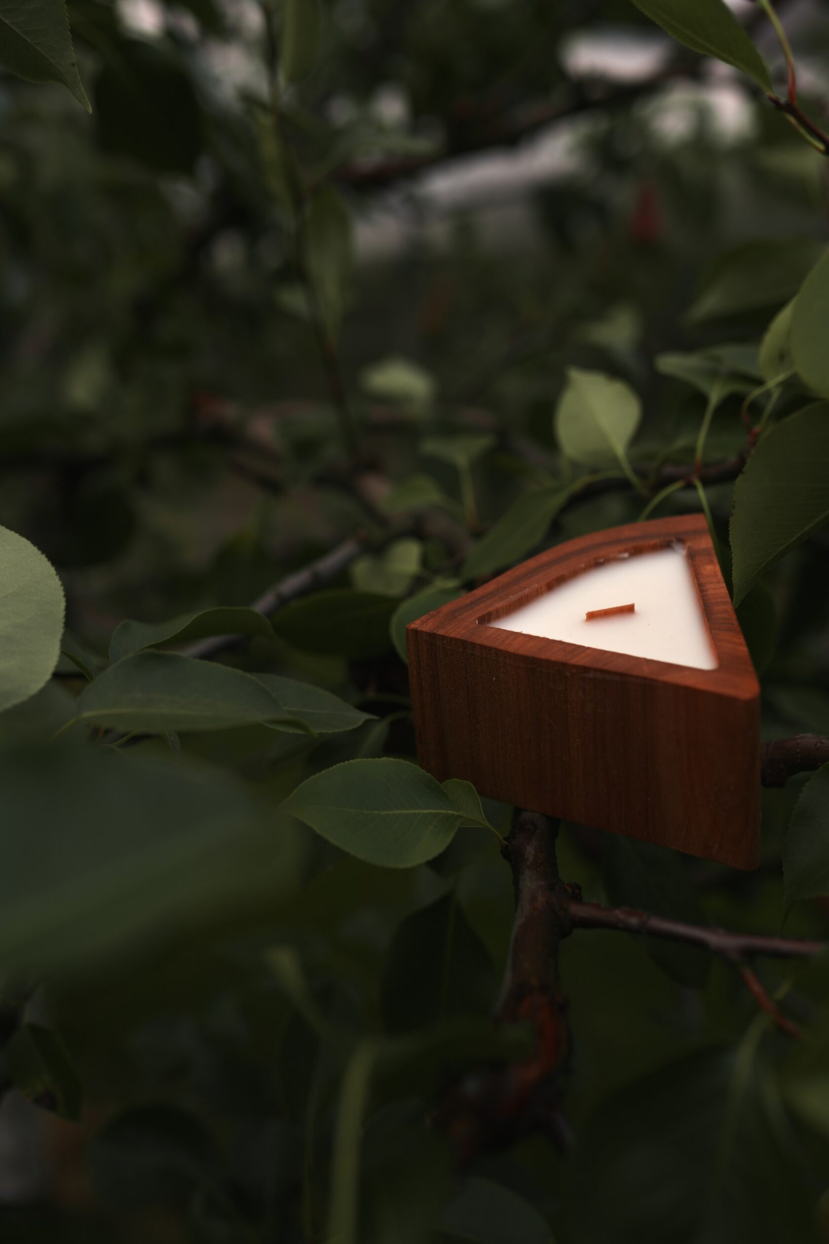 Свеча в массиве дерева Инь-Янь by SVECHERI