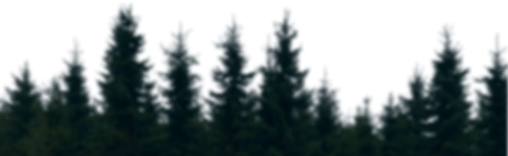 Деревья в блюре