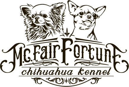 MC Fair Forture