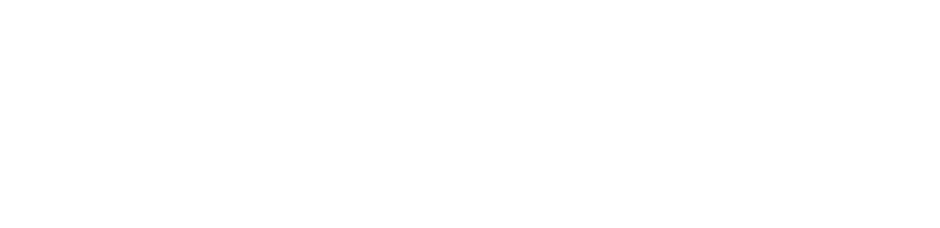 Боравто