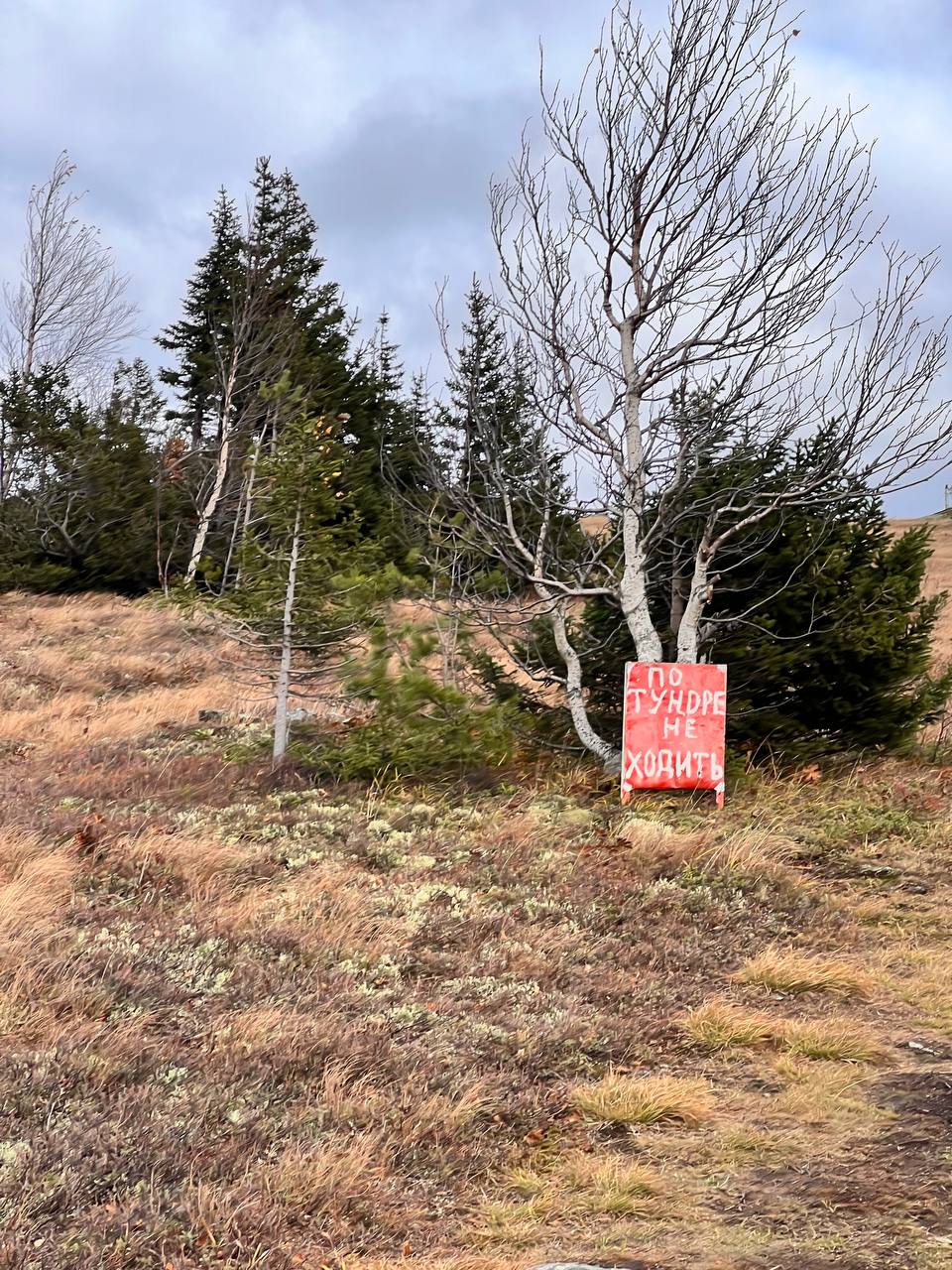 По тундре не ходить