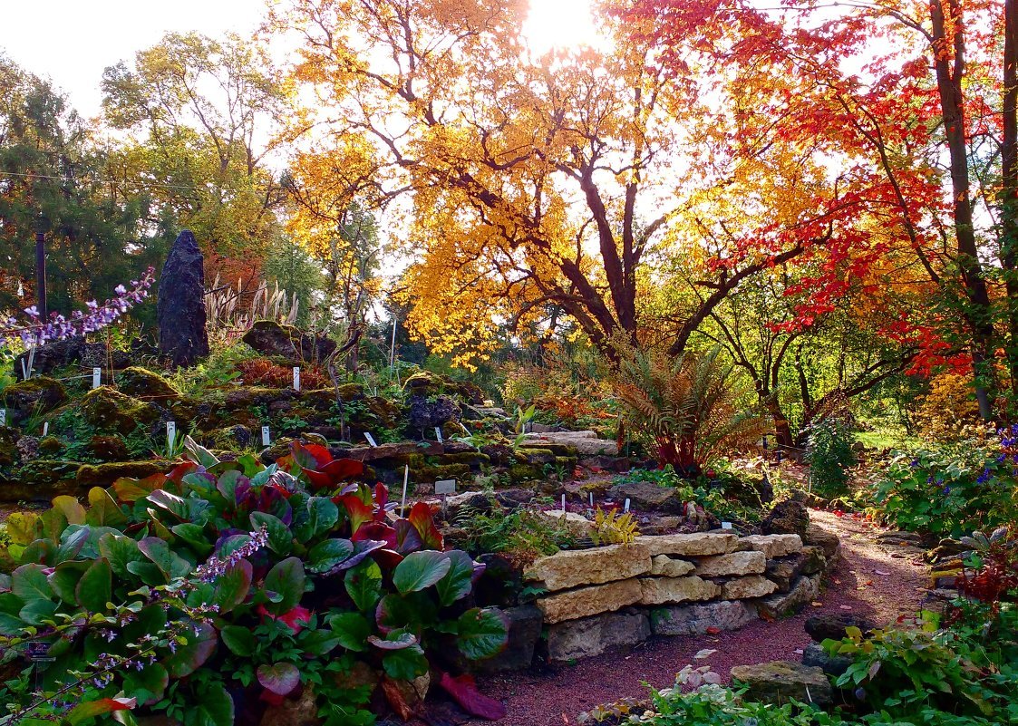 Осень в Ботаническом саду