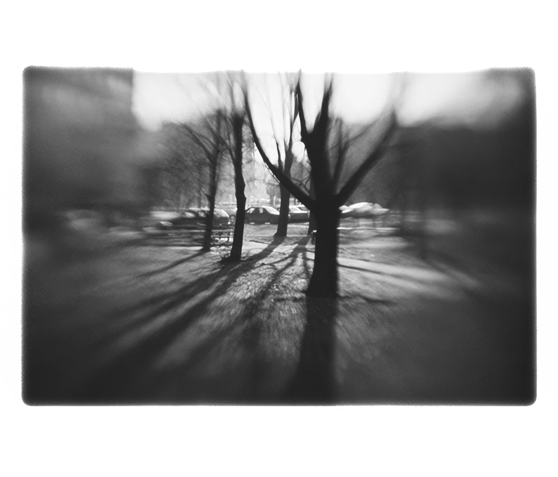 Сергей Жданович, проект «INCERTUM».