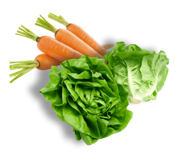 Питание на сушку