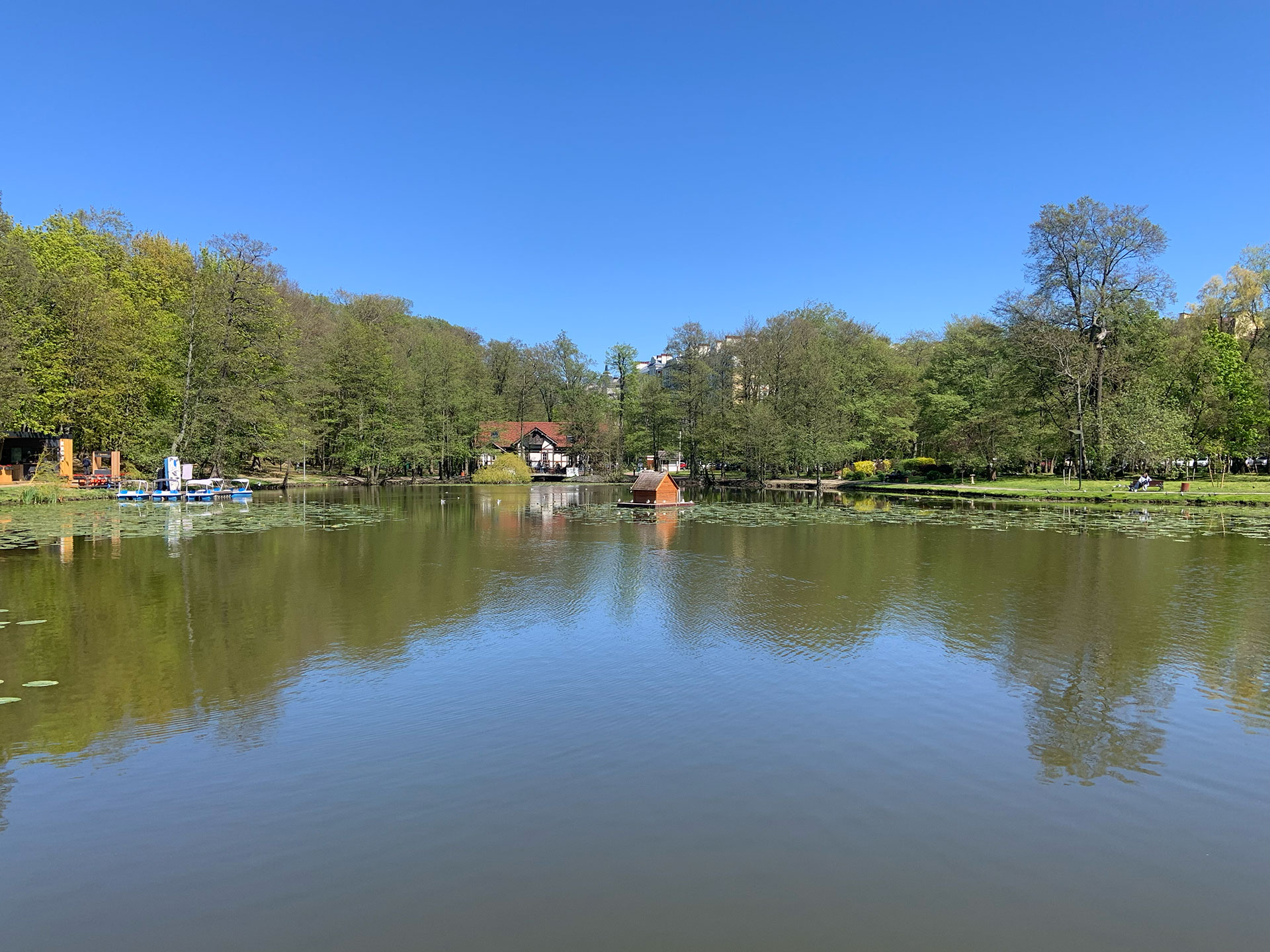 Ресторан «Дача» на берегу моря в Зеленоградске