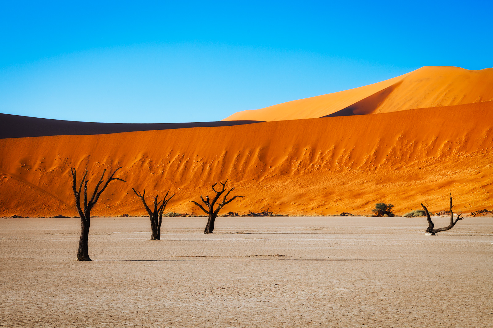 Deadvlei Намибия
