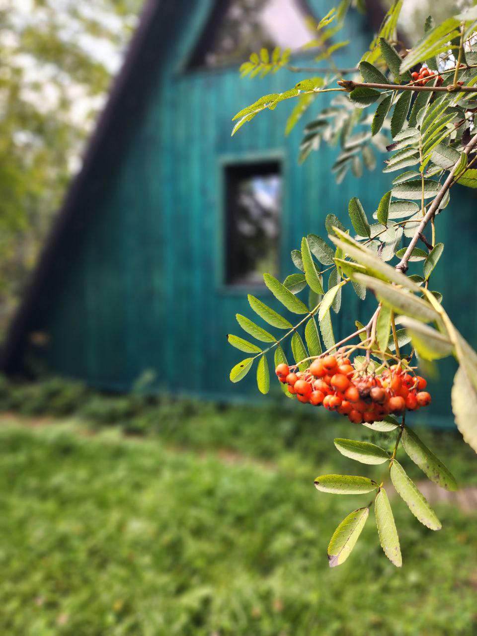 О`лень, глэмпинг