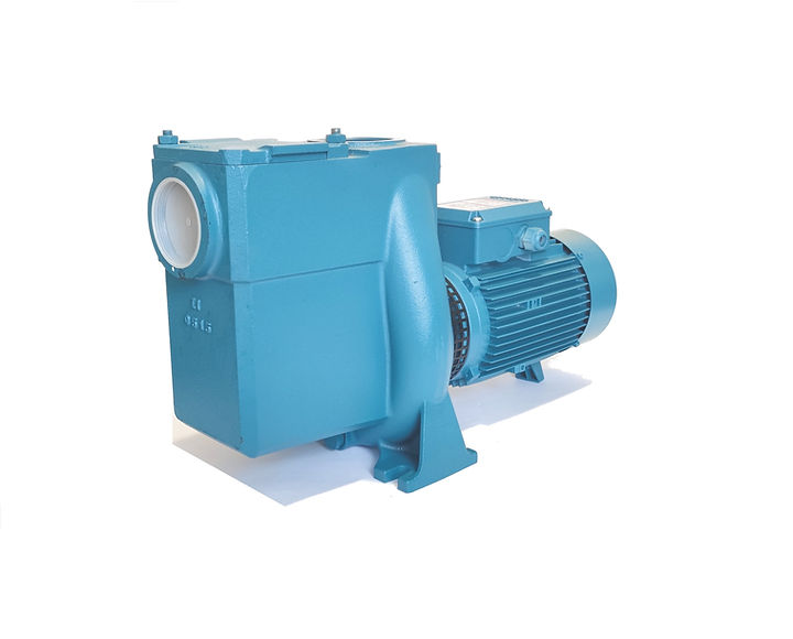 Насос с префильтром Calpeda, насос Calpeda, насос для фонтана, насос сухой установки, насос для системы фильтрации, насос для системы фильтрации фонтана