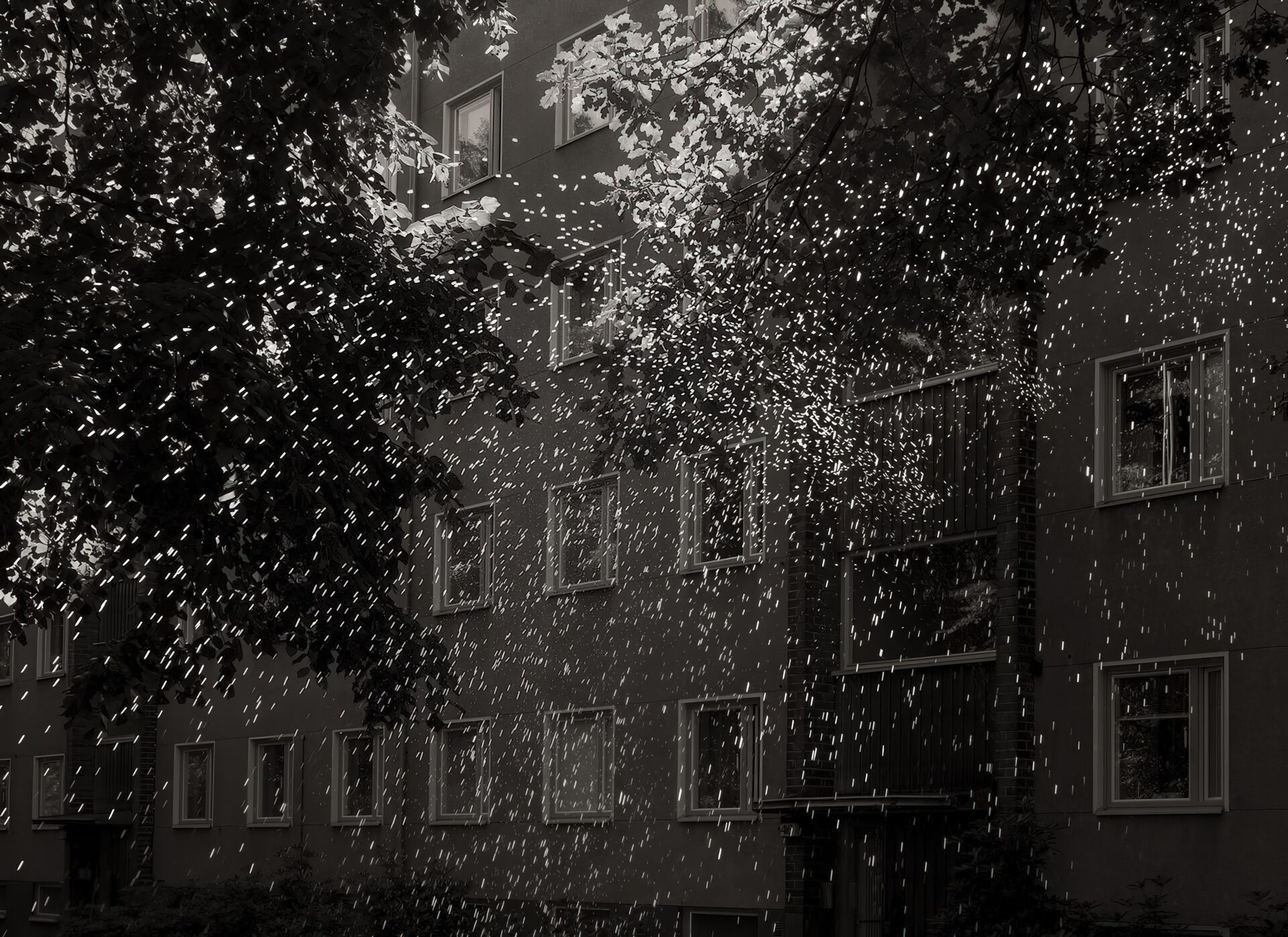 Данила Парнюк. Danila Parniouk.