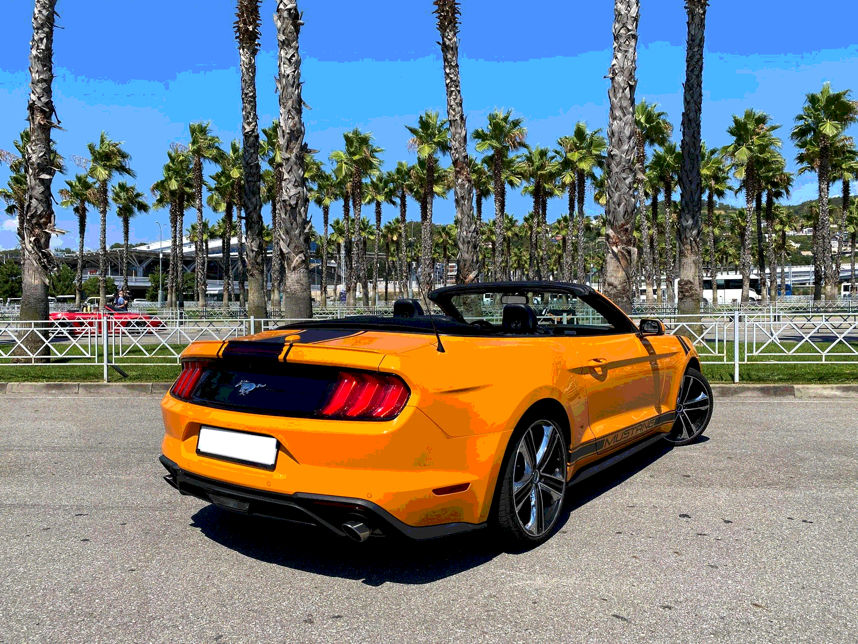 Аренда машины в сочи без водителя. Аренда машины адлер. Взять машину напрокат в адлере. Bmw cabrio. Взять машину напрокат в адлере.