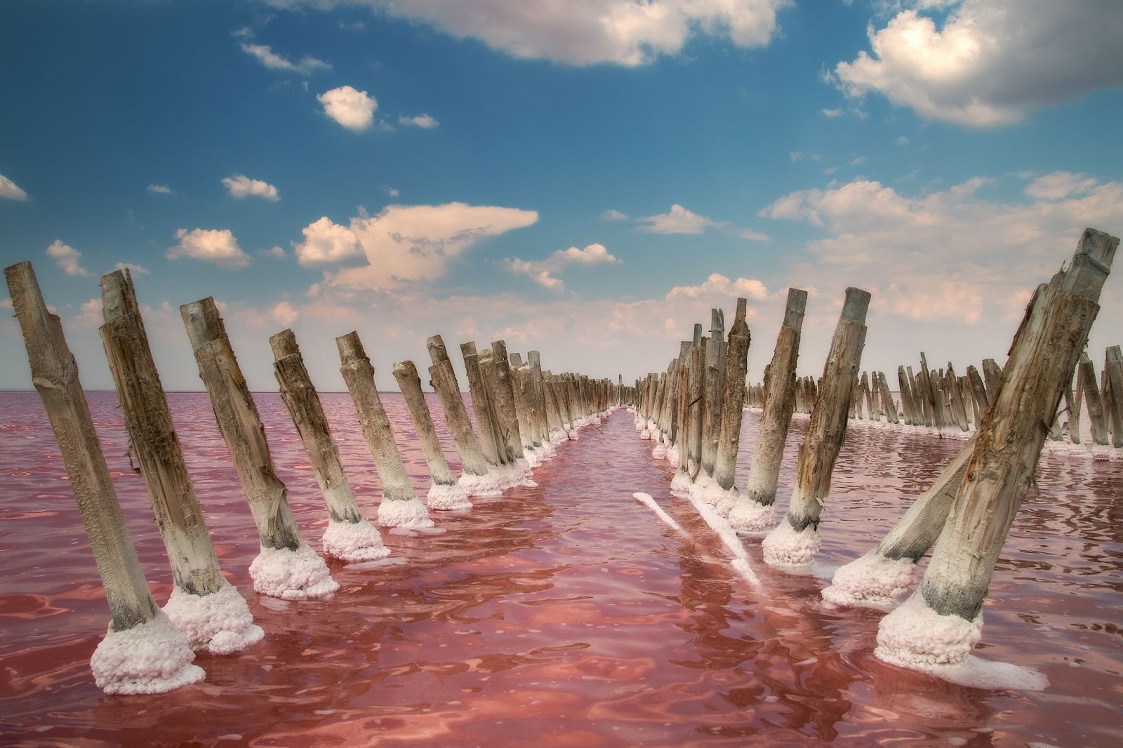 Сасык-Сиваш - розовое озеро