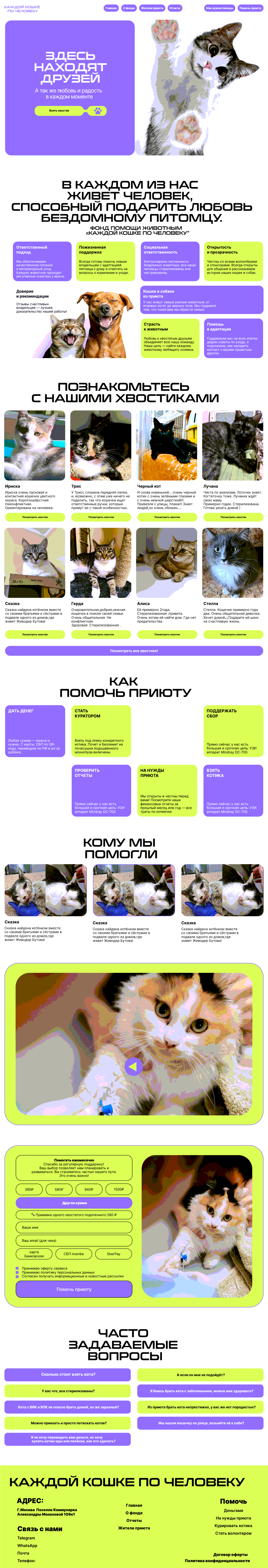 Кот тянет лапку