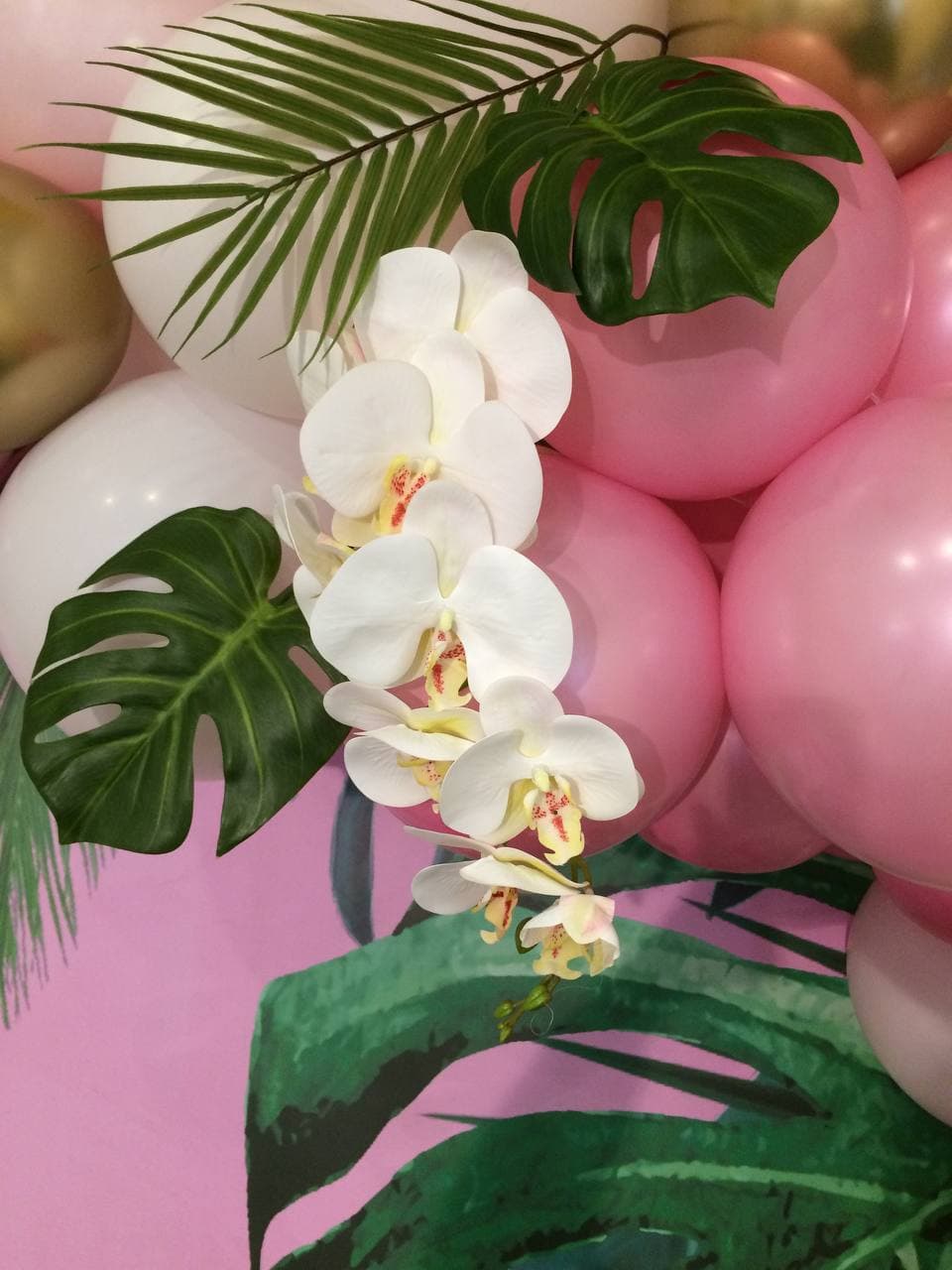 Фотозона у тропическом стеле