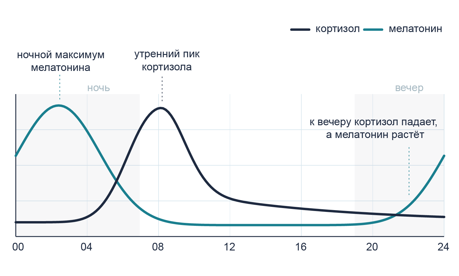 Нормальные суточные кривые