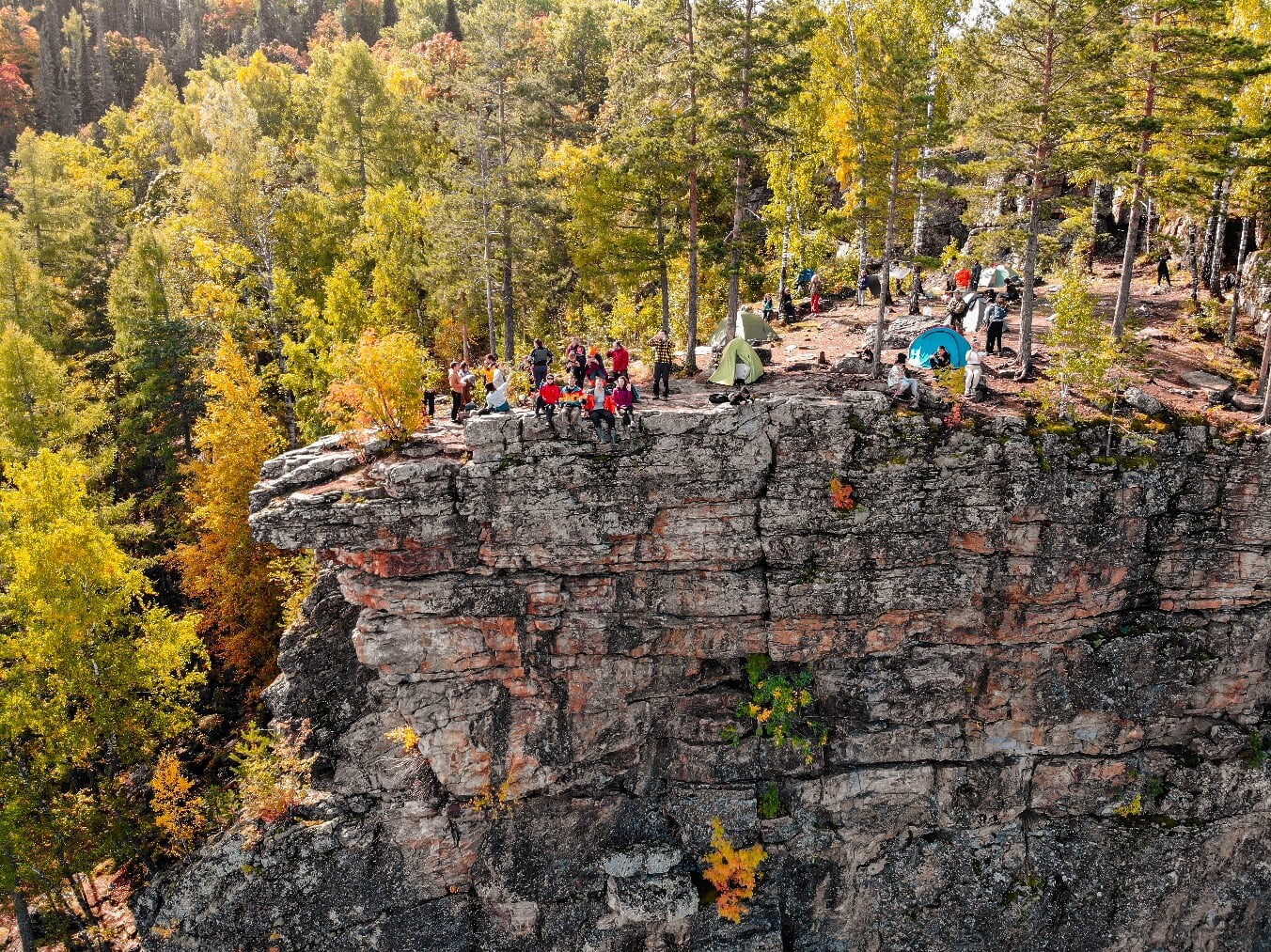 Зубы шурале фото