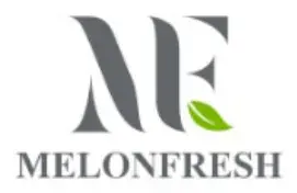 Логотип после доработки: MelonFresh