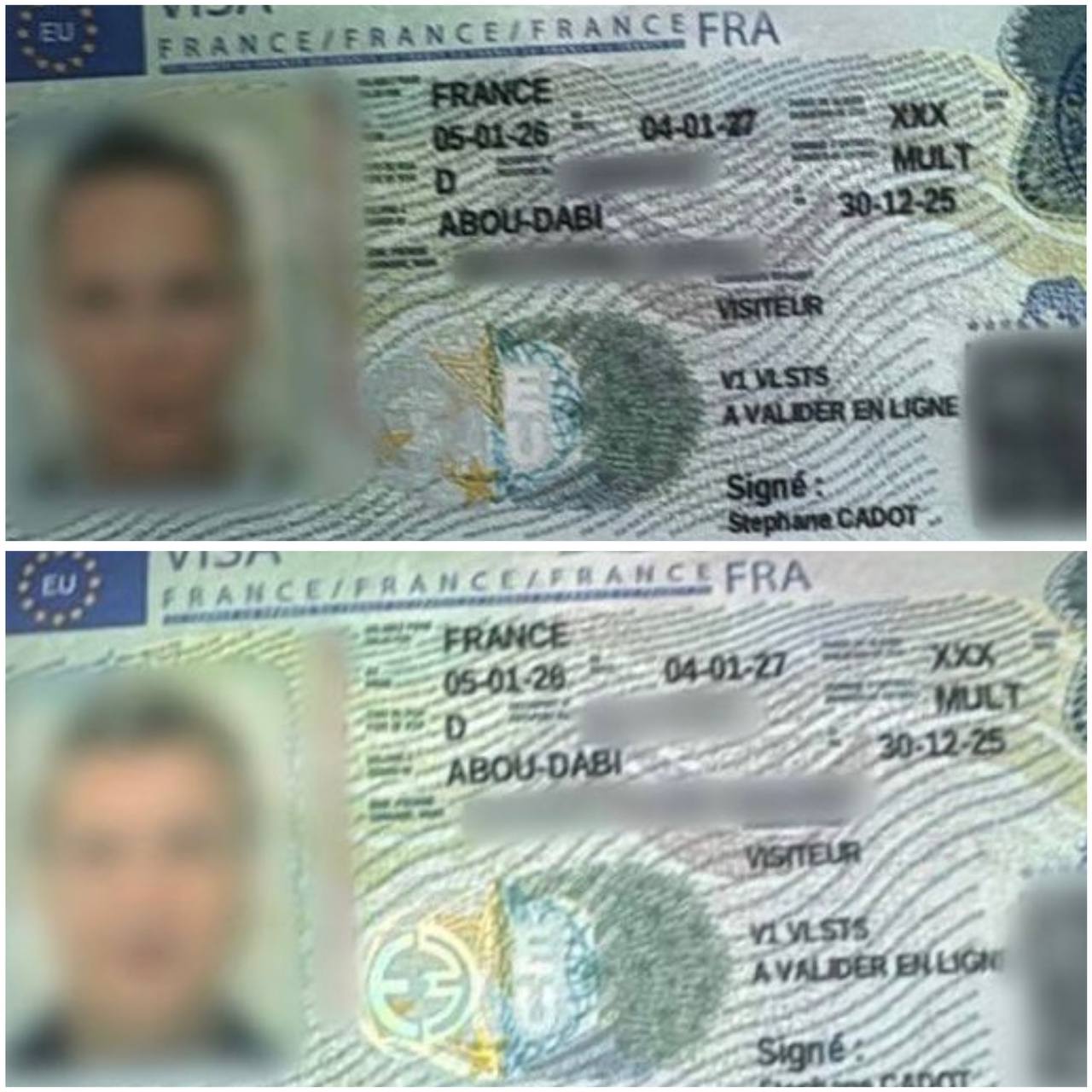 Паспорт с визой Франции