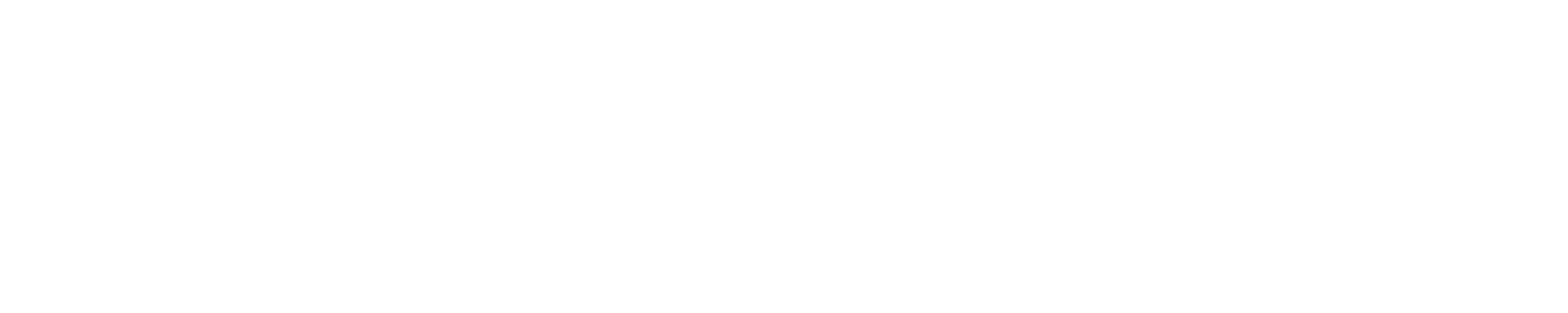 Фиджитал игры 2024