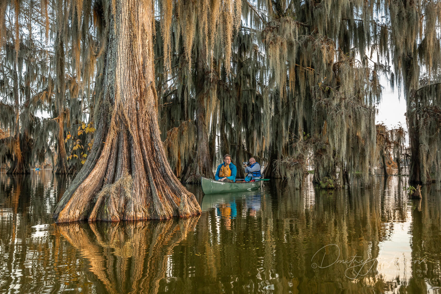 Озеро манчак. Swamp of love. Болота манчак сша. Болото манчак, сша, штат луизиана. Шривпорт луизиана болота.