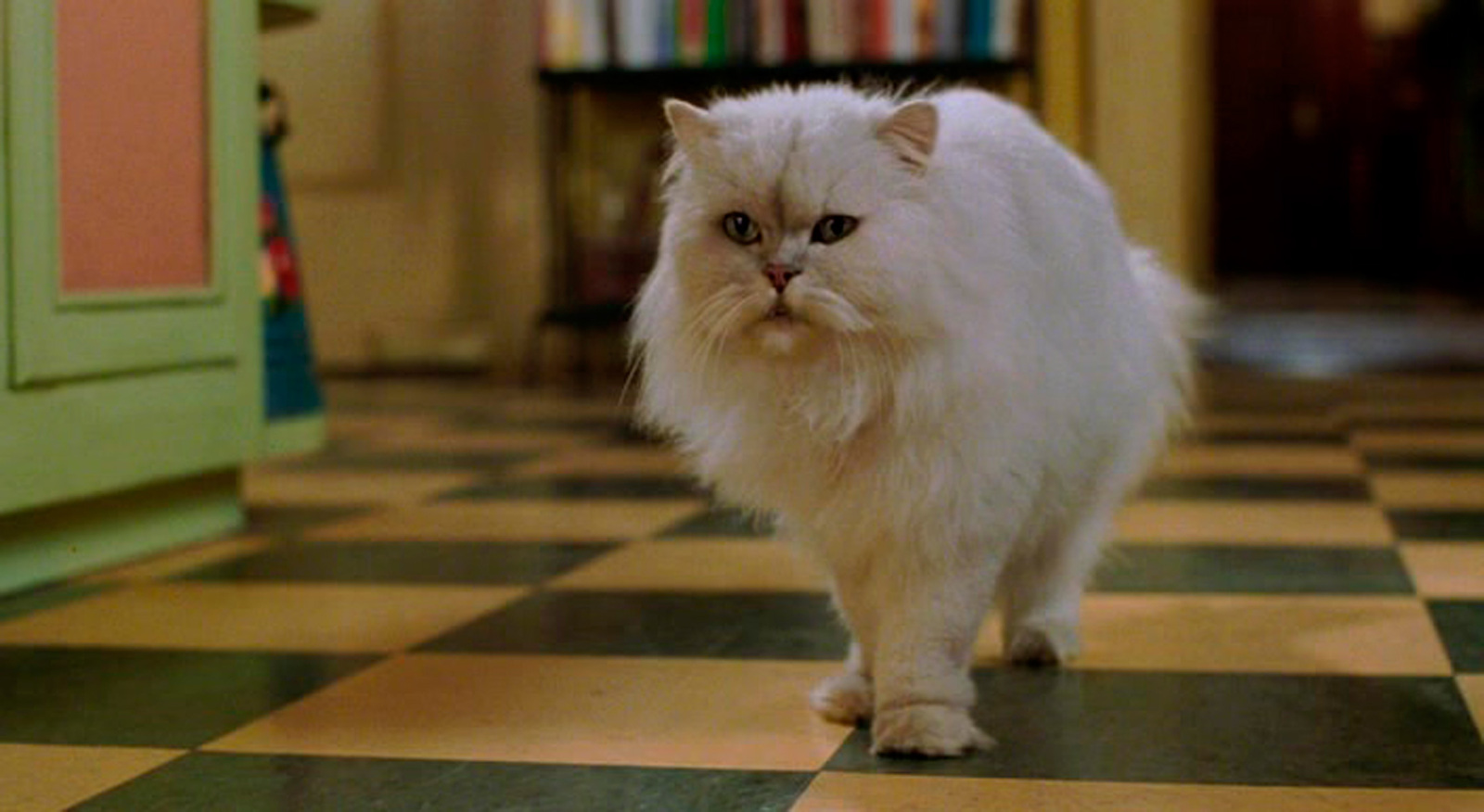 Стюарт литтл дымок. Стюарт литтл снежок. Литтл кот. Игрп. Маленький.