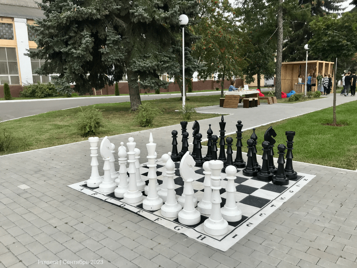 Аренда деревянных больших шахмат