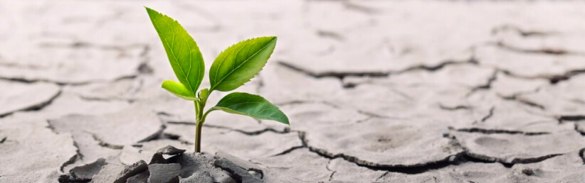 окружающая среда защита