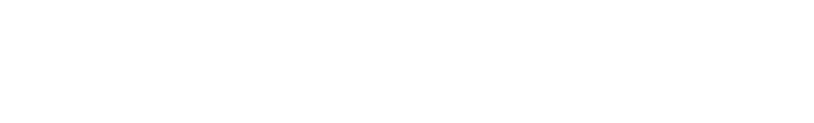 Nouvelle