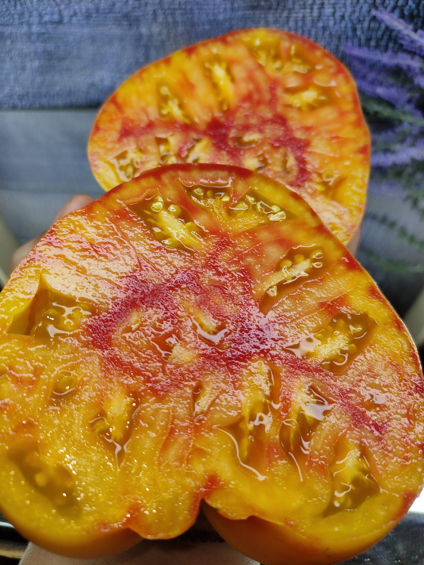 Manhattan Bicolor (Манхеттен биколор)